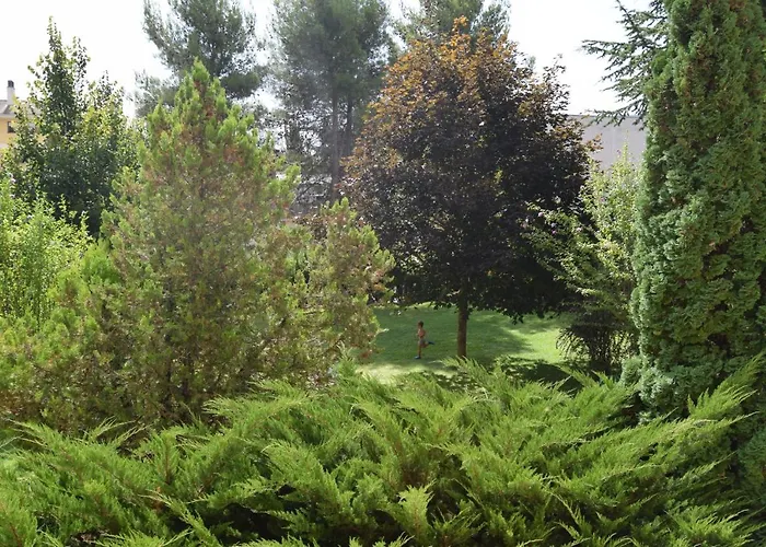 Acogedor Con Piscina Compartida Y Opción A Parking * Jaca